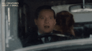 Shocked Channel 5 GIF by All Creatures Great And Small