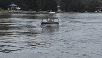 200w.gif