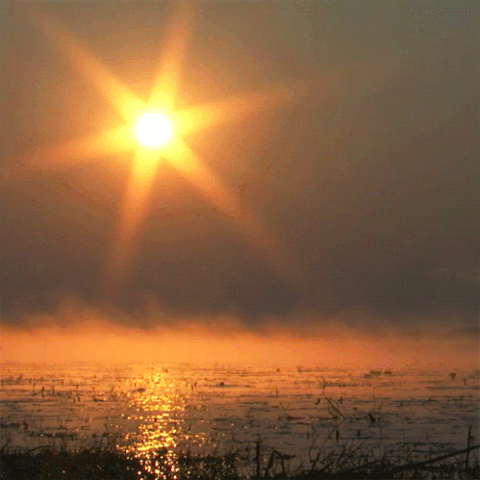 Sun Meditation GIF