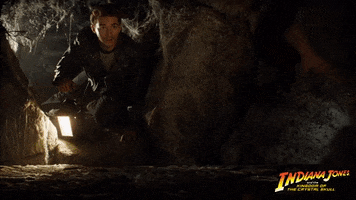 Watching Indiana Jones And The Kingdom Of The Crystal Skull GIF by Indiana Jones