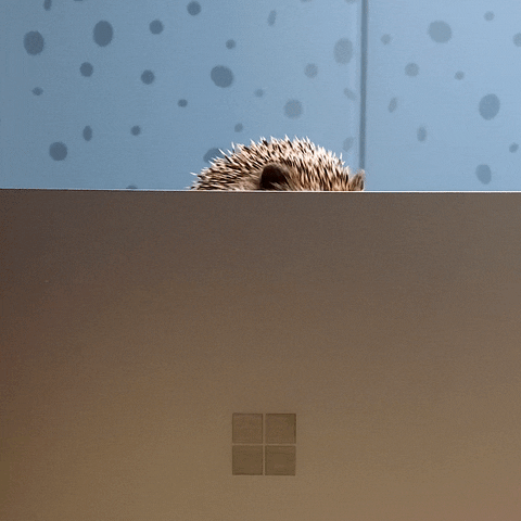 Sup Hello GIF by Microsoft Edge