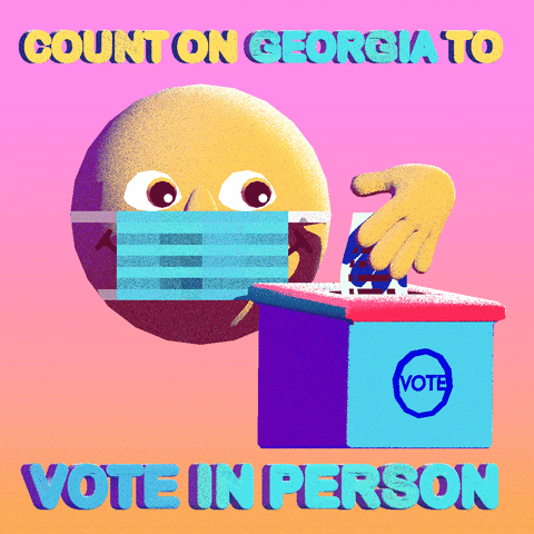 Georgia Ga GIF by #GoVote