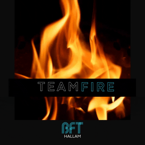 Teamfire GIF by @aflse