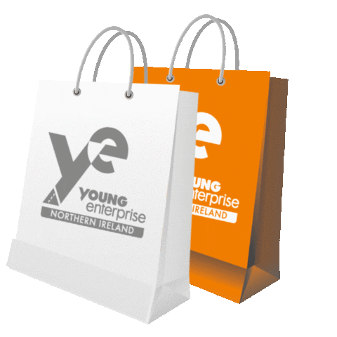 Young Enterprise NI Sticker