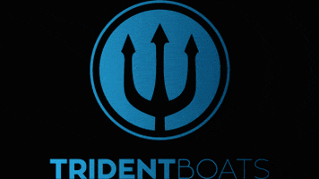 tridentboats trident lefkada tridentribs tridentboat GIF