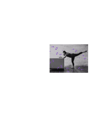 twistedfitnic Sticker