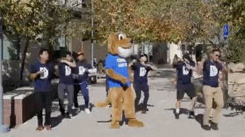 Animated GIF