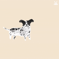 animated dogs that move