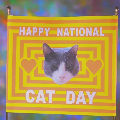 Cat Day GIF