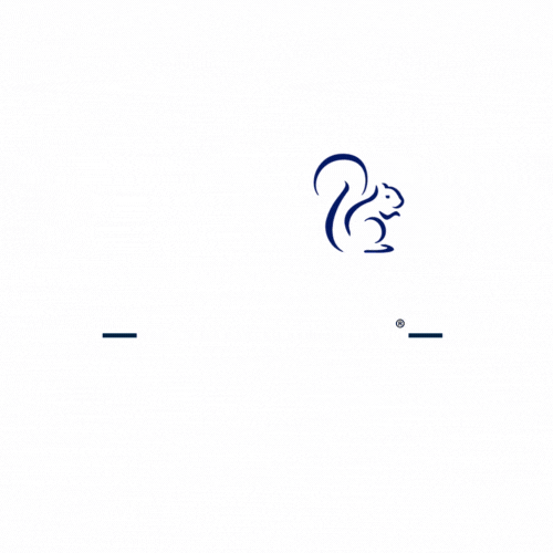 Elfant Wissahickon GIF