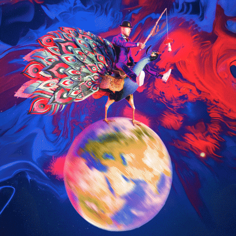 Dr Peacock Hardcore GIF by DVTD MGMT