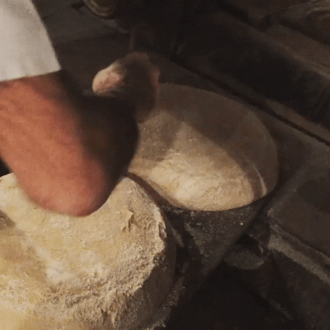 France Pain GIF by Poilane Bakery - Find & Share on GIPHY