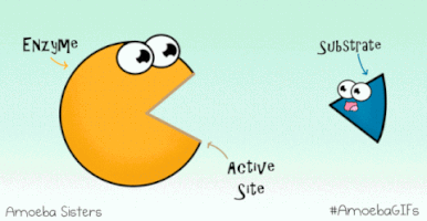 Enzyme GIFs - Find & Share on GIPHY