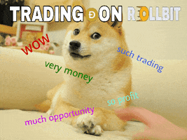 Doge GIF