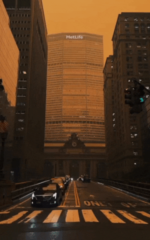 New York Smoke GIF by Storyful