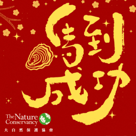Chinese New Year Horse GIF by The Nature Conservancy Hong Kong