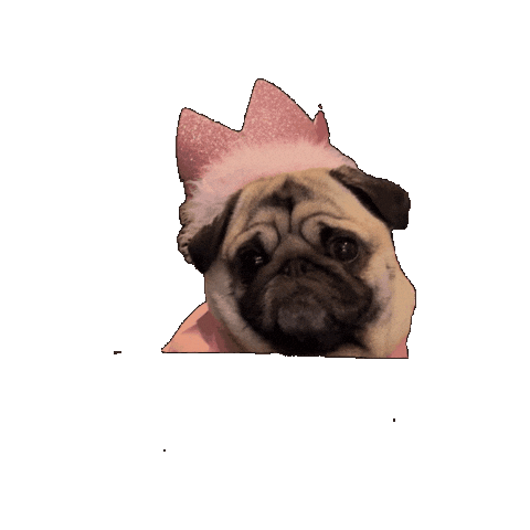 Excited Birthday Sticker