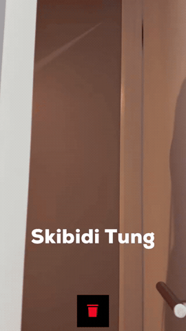 Skibidi GIF