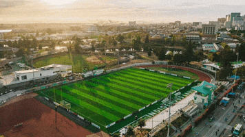 Good Morning Football GIF by Oakland Roots SC