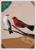 Bird GIF by GIF IT UP