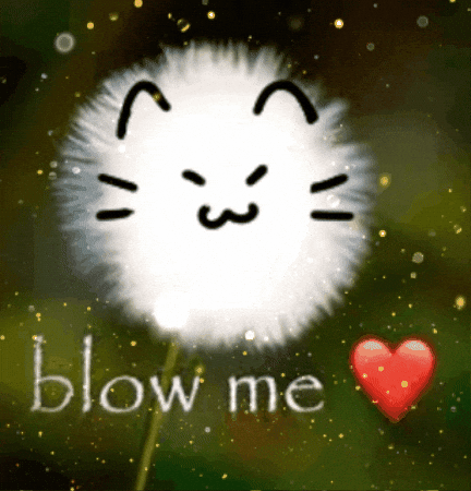 Blow Me Cat GIF