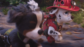 Nickelodeon Running GIF by Paw Patrol Movies