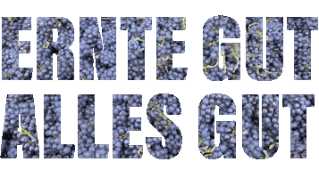 Familienweingut Braun Sticker