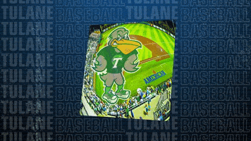 Tulane Green Wave Great Play GIF by GreenWave