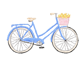 Bike Sticker