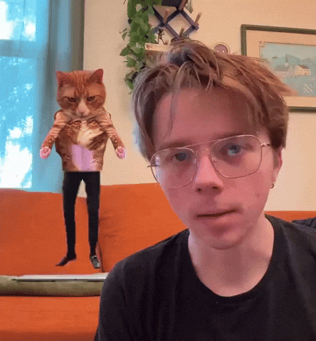 Cat Dancing GIF
