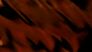 wearesuperbored GIF