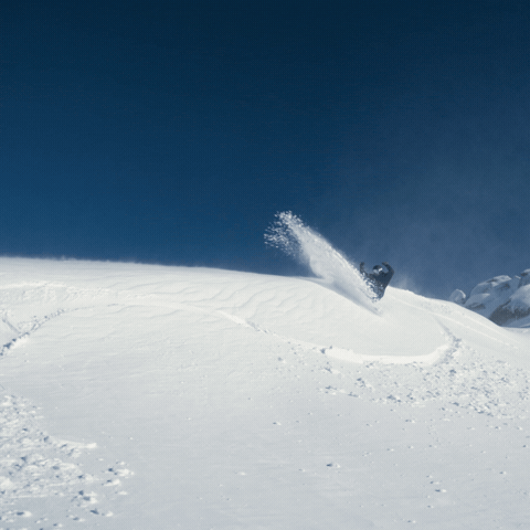 GIF by Thredbo