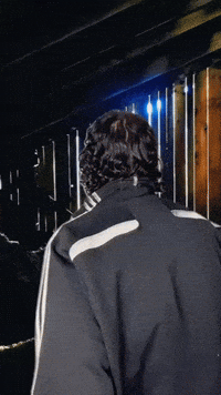 discovery from the wrecks