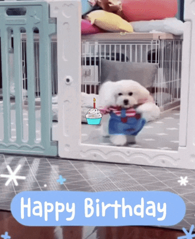 Animated GIF