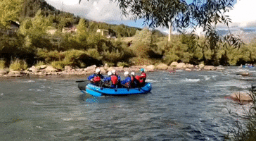 200.gif?cid=fc005b0837e383173e9c4a2142af791352fbce4a0f744aff&rid=200.gif&ct=g