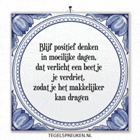 Humor Nl GIF by Tegelspreuken.nl