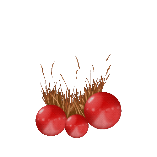 Design Circle Sticker