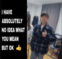 No Idea Ok GIF