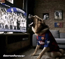 Football Meme Crying GIF