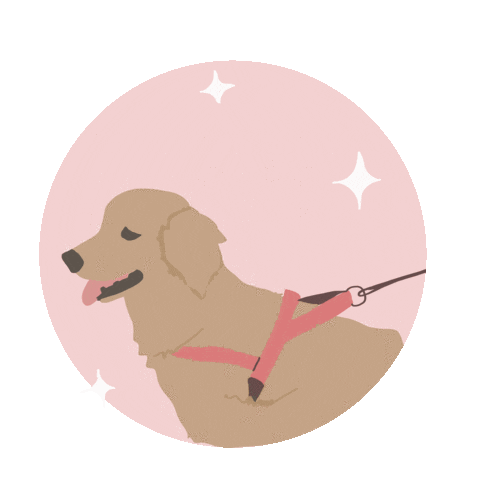 MollyThreads Sticker