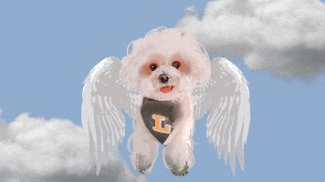 Angel Dog GIF