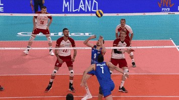 Celebrate He Did It GIF by Volleyball World