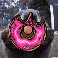 MunchProject donut munch pink donut munch project GIF