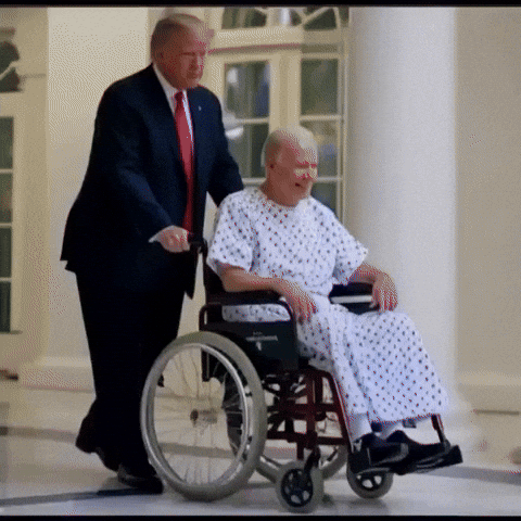 Trump GIF