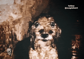 Follow Suspishant GIF