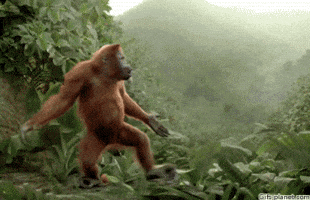200.gif?cid=fc005b080eb9117663c599161b7704e0c8a3891cc0a49e8d&rid=200.gif&ct=g