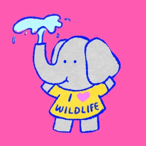 Wildlife Conservation Earth GIF
