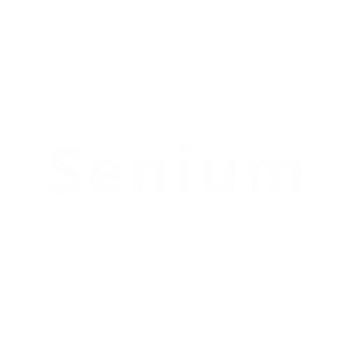 Senium Senior Care Sticker by Senium