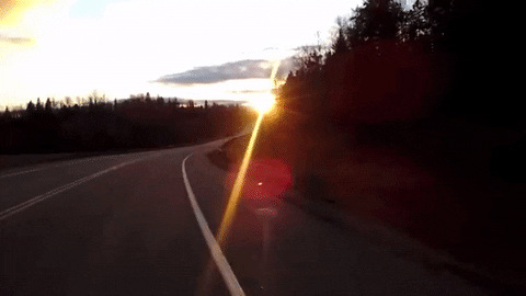 Driving Early Morning GIF by Laurentian University - Find & Share on GIPHY