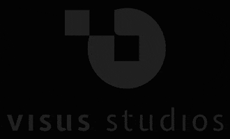 Visusstudios GIF